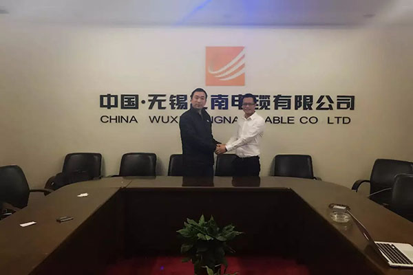 專家11